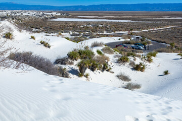 Yuccas and drought-resistant desert vegetation on white gypsum sands in White sands National Monument, New Mexico