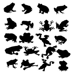 Cute frog Ai, Ai Frog vector files
 - obrazy, fototapety, plakaty