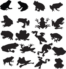Cute frog Eps vector bundle, Eps Frog vector files

