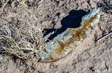 Gypsum crystals in the desert at the bottom of a former dried up alkaline lake in White sands National Monument, New Mexico