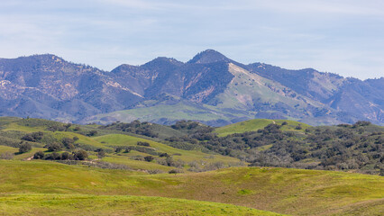 Grass Mountain Los Olivos California Hiking Trails