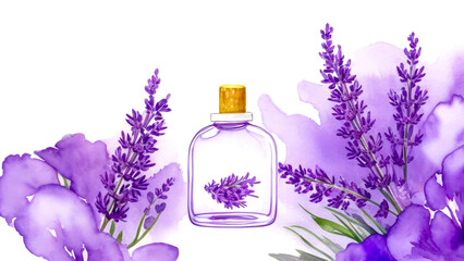 Essential Aromatic oil in bottle and fresh lavender twigs on white. Fresh lavender flowers and oil. For aromatherapy, alternative medicine or perfumery, naturopathy. Banner, copy space for text