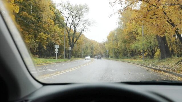 View from windshield of car driving along road among trees in autumn day, slow motion