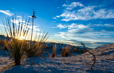 View of the Sunset over the white gypsum sands in White sands National Monument, New Mexico