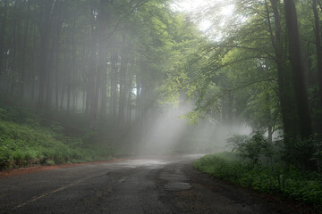 The road is illuminated by sun rays breaking through the fog in the mountains