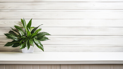 Houseplant in flowerpot on a table in front of light wooden background with copy space