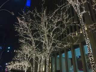 Lights on trees in New York City streets during the end of the year.