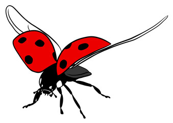 Flying ladybug illustration on transparent background	
