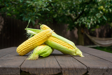 Fresh corn on cobs on rustic wooden table, closeup. Top view with copy space