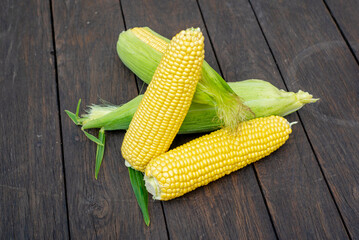 Fresh corn on cobs on rustic wooden table, closeup. Top view with copy space