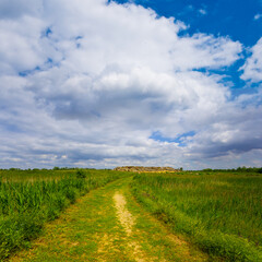 green rural field under blue cloudy sky, spring agricultural background