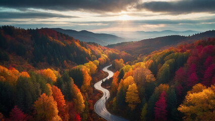 A Forest top view with roads and colorful trees,AI photo. - obrazy, fototapety, plakaty
