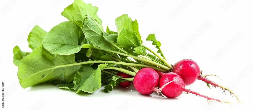 Poster Isolated white background radish image, with clipping path and depth of field.