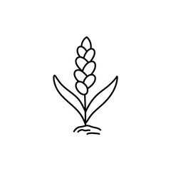 Hand drawn cereal icon