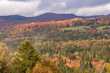 Vermont hills from Creek Rd, autumn, overcast