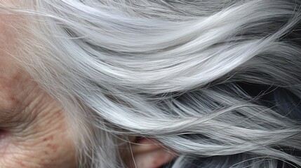 Naklejka premium Detail to a gray woman hair, an old age concept