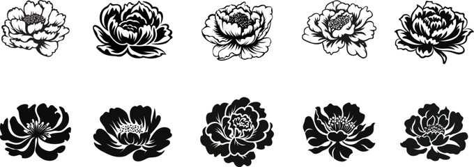 Set of Flower icons. Peony flower with leaves. Peonies hand drawn vector art. Black silhouette of peony flower - obrazy, fototapety, plakaty