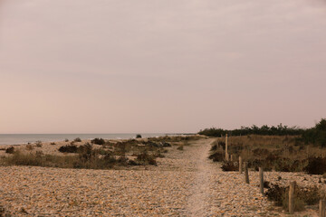 Beach sand dune sea in southern France