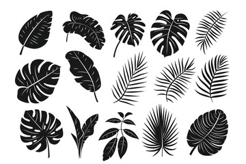 Fototapeta na wymiar Abstract foliage elements isolated on a white background. Tropical leaves set. Collection of black and white graphic silhouettes.