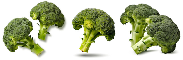 Set of broccoli on transparency , png