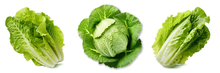 Obraz premium Set of fresh lettuce on transparency , png
