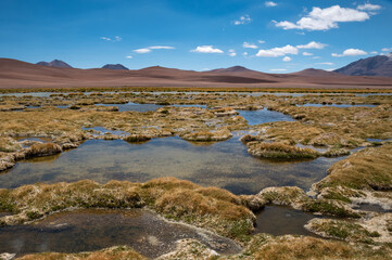 view of Quepiaco lagoon in Atacama desert, Chile