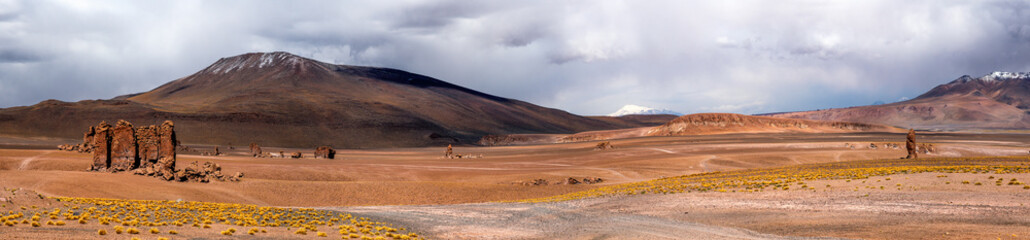 Panoramic view in Salar De Tara, Atacama Desert, Chile