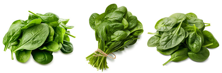 Fresh spinach set on transparency , png
