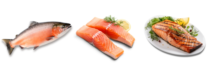 Set of Salmon on transparency , png