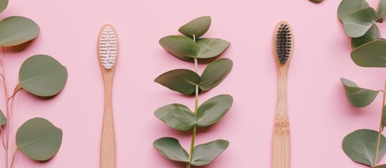 Eucalyptus leaves and bamboo toothbrush on pink backdrop.