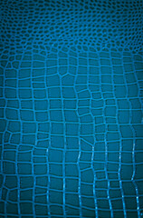 Blue pattern as a background. 