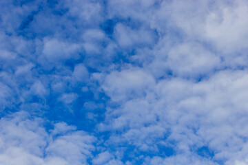 Fluffy white clouds scattered across a vivid blue sky