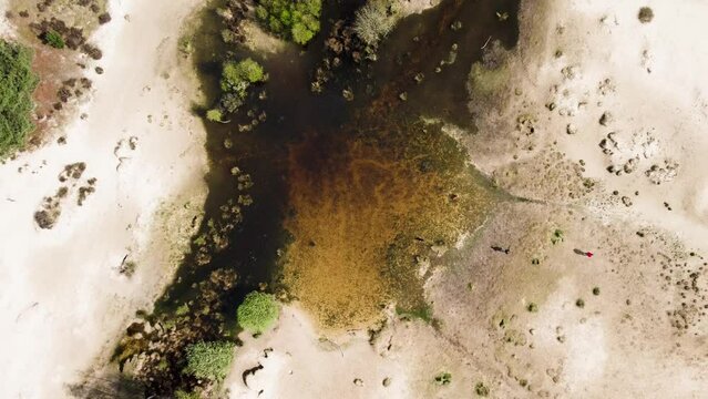 The Loonse and Drunense Duinen National Park, Yellow Sand and Lake in the Desert