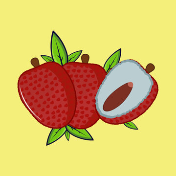 lychee vector free illustration premium leechi fruit vector icon design