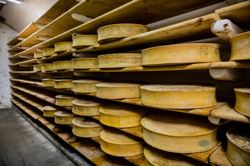 Meules de fromage Beaufort dans la cave de la coopérative