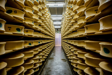 Meules de fromage Beaufort dans la cave de la coopérative - 730378503