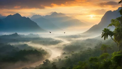 Foto op Plexiglas Dschungel im Amazonas © pit24