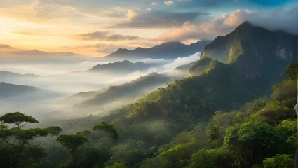 Foto op Aluminium Symbolbild Dschungel im Amazonas © pit24