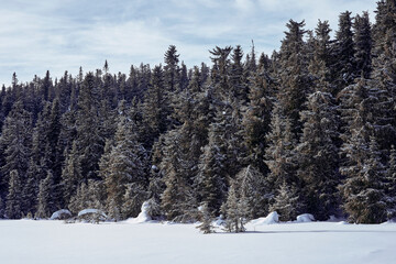 Image from the Totenaasen Hills in winter, from a walk from Oksbakken to Langsetra and Anfinnsetra summer farms, and back again through Smordalen and Hemningsdalen valleys.