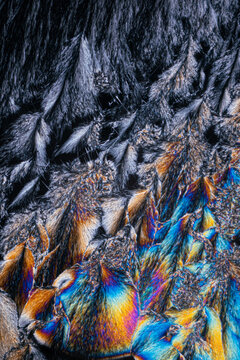 Colorful macro texture of a butterfly wing