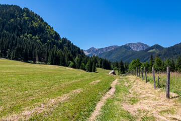 Fototapeta na wymiar Scenic hiking trail along lush green alpine meadow with scenic view of Karawanks mountains, Bodental, Carinthia, Austria. Looking at majestic summit of Kosiak. Remote alpine landscape in Austrian Alps