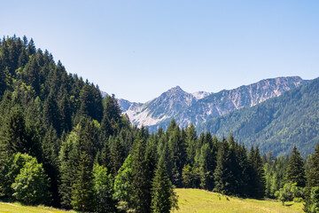 Fototapeta na wymiar Lush green alpine meadow of Maerchenwiese with panoramic view of Karawanks mountains in Carinthia, Austria. Looking at majestic summit of Vertatscha and Hochstuhl. Remote alpine landscape in Bodental