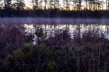 Morning Mist on Pond