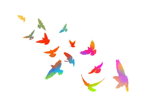 A flock of colored birds. Not AI, Vector illustration