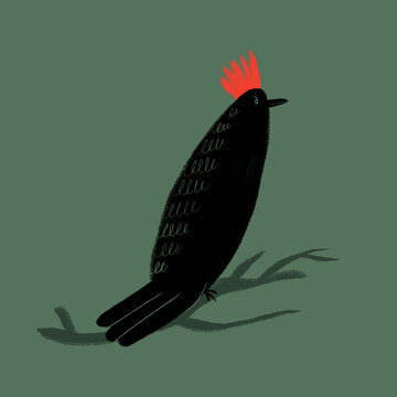 Minimalist illustration of a blackbird with a distinctive red crest on a muted green background