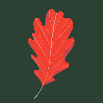 Vibrant red oak leaf illustration on dark background. Generative AI image