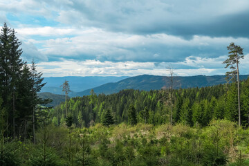 Obraz premium Panoramic view from Dreieckkogel in Lavanttal Alps, South Styria, Austria, Europe. Remote forest and hill landscape in Austrian Alps on cloudy overcast day. Hiking in wilderness. Peace of mind