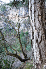 Beautiful landscape near the Nacimiento del Rio Mundo in Albacete, Spain