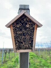 Insect hotel bee hotel with small bamboo tubes