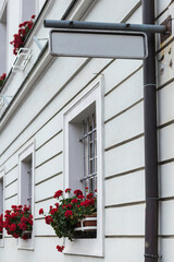 Windows with growing red roses in window boxes and a white wall. There is a empty street sign